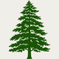 Tree Plant 3 Thumbnail