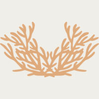 Sea Plants Thumbnail