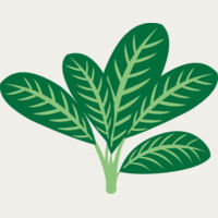 Plants 7 Thumbnail