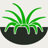 Plants 6 Thumbnail