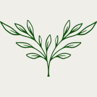 Plants 3 Thumbnail