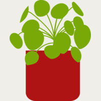 Plants 2 Thumbnail