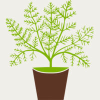 Plant Thumbnail