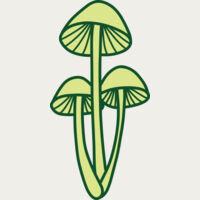 Mushroom 2 Thumbnail