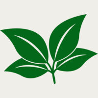 Leaves Thumbnail
