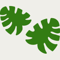 Leaves 10 Thumbnail