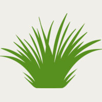 Grass 2 Thumbnail