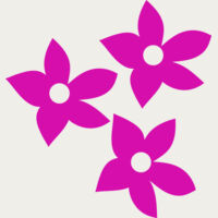 Flowers 8 Thumbnail