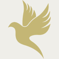 Dove 2 Thumbnail