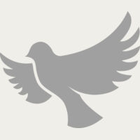 Dove Thumbnail