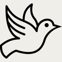 Dove Thumbnail