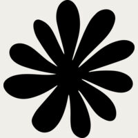 Daisy Flower Thumbnail