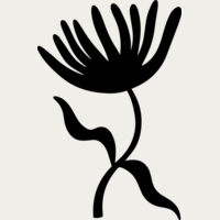 Dandelion Seed Head Thumbnail