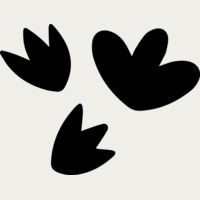 Floating Petals Thumbnail