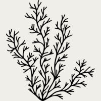 Herb Sprig Thumbnail