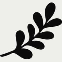 Leaf Stem Branch Thumbnail