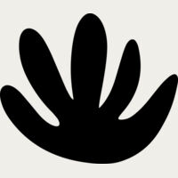 Palm Leaf Fan Thumbnail