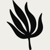 Tropical Leaf Thumbnail