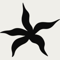 Tropical Star Leaf Thumbnail