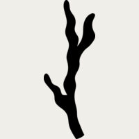 Twig Branch Thumbnail