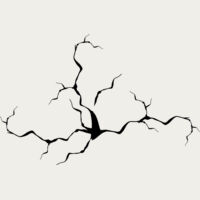 Concrete Crack Thumbnail