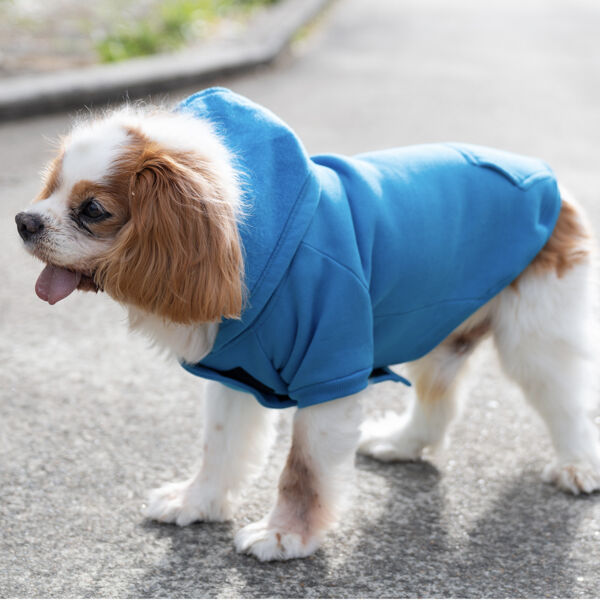 Dog Hoodie Thumbnail